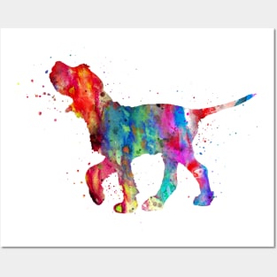 Italian Spinone Posters and Art